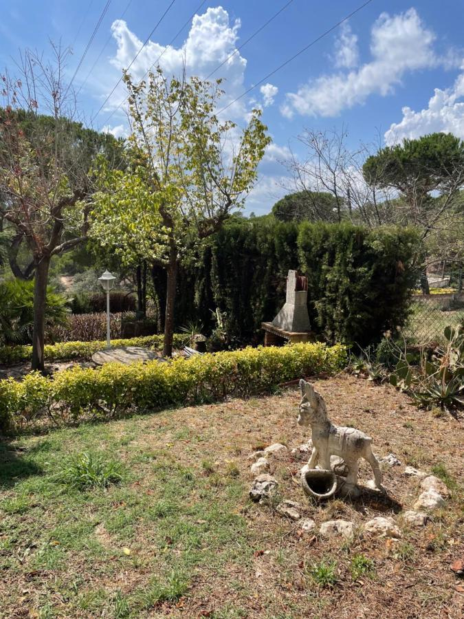 Villa Herlinda Costa Brava - With Swiming Pool Massanet De La Selva Екстер'єр фото