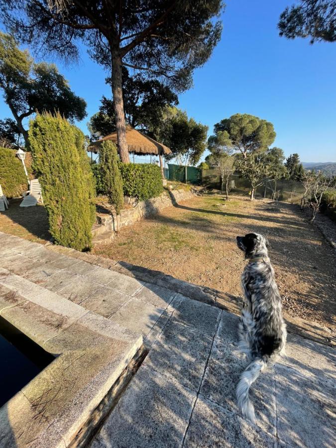 Villa Herlinda Costa Brava - With Swiming Pool Massanet De La Selva Екстер'єр фото
