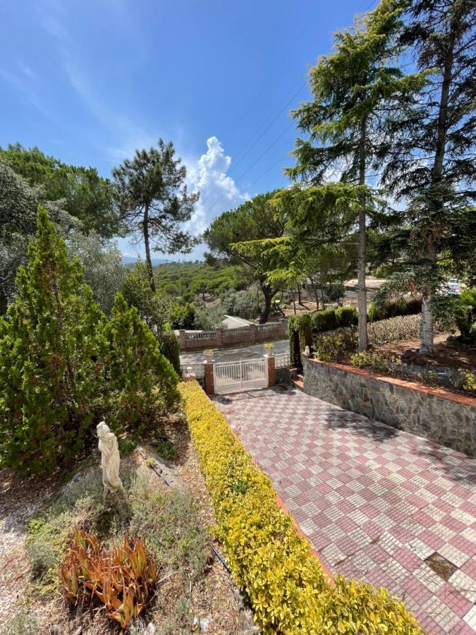 Villa Herlinda Costa Brava - With Swiming Pool Massanet De La Selva Екстер'єр фото