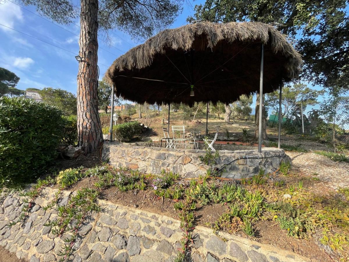 Villa Herlinda Costa Brava - With Swiming Pool Massanet De La Selva Екстер'єр фото